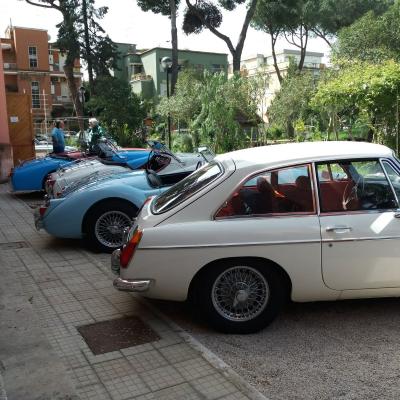 Evento Clas British Spring Meeting 14 15 Aprile 10