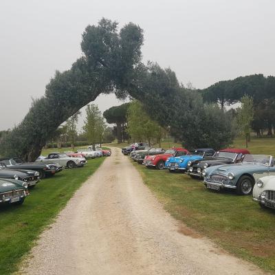 Evento Clas British Spring Meeting 14 15 Aprile 15
