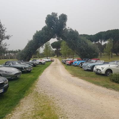 Evento Clas British Spring Meeting 14 15 Aprile 16