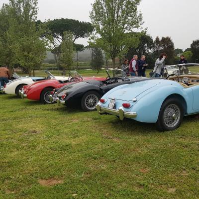 Evento Clas British Spring Meeting 14 15 Aprile 19