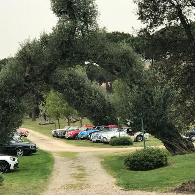 Evento Clas British Spring Meeting 14 15 Aprile 22