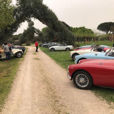 Evento Clas British Spring Meeting 14 15 Aprile 23