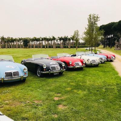 Evento Clas British Spring Meeting 14 15 Aprile 24