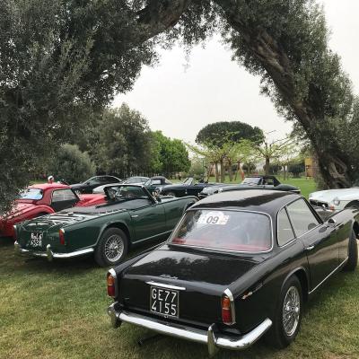 Evento Clas British Spring Meeting 14 15 Aprile 25