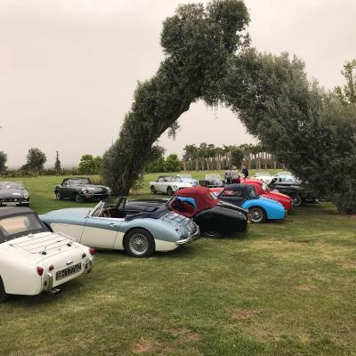 Evento Clas British Spring Meeting 14 15 Aprile 26