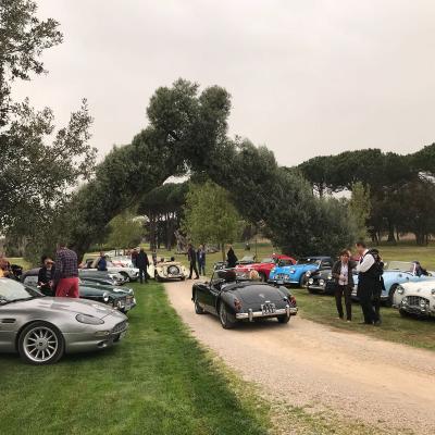 Evento Clas British Spring Meeting 14 15 Aprile