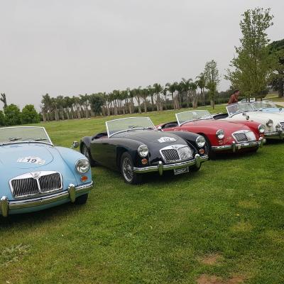 British Spring Meeting 14-15 Aprile 2018